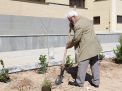 گزارش تصویری مراسم روز درخت کاری در دانشگاه  با حضور ورزشکاران ملی پوش شهرستان شاهرود  
